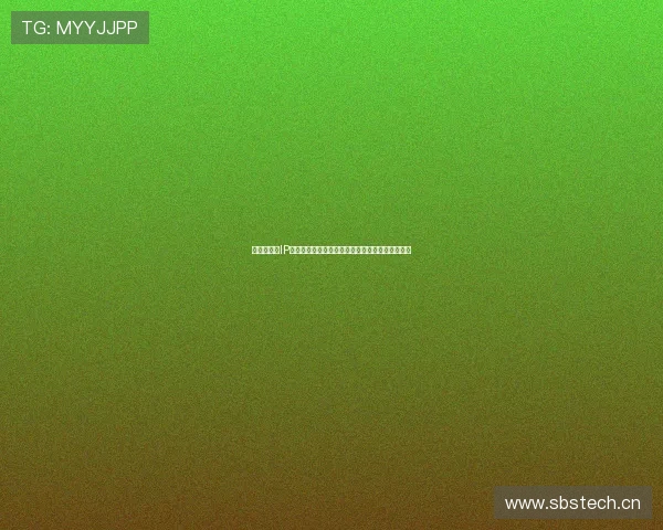 以本机当前IP地址为基础探讨网络安全与隐私保护的实践与策略